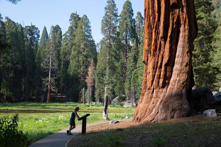 how to visit Sequoia National Park 1 day itinerary