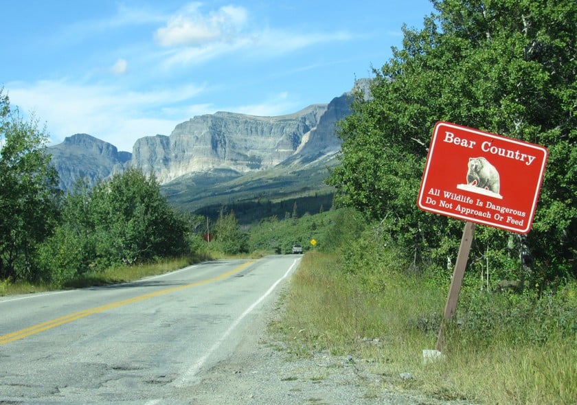 Glacier National Park wildlife
