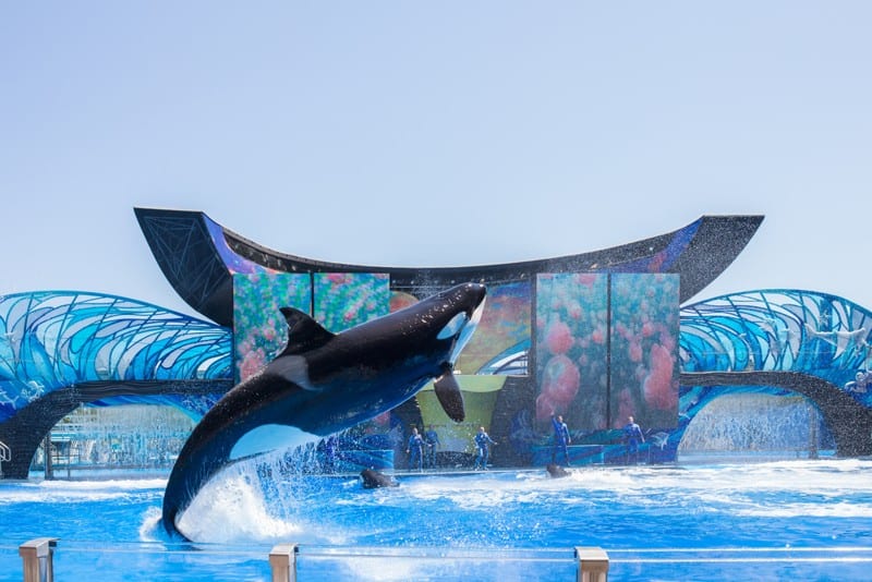 main theme parks in orlando 