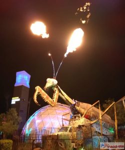 Flaming-Praying-Mantis