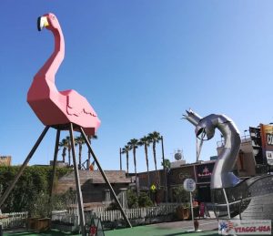 pink flamingo