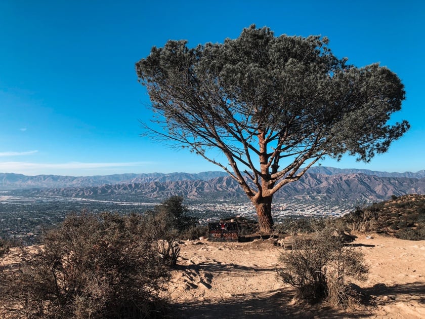 best places to see the hollywood sign without hiking