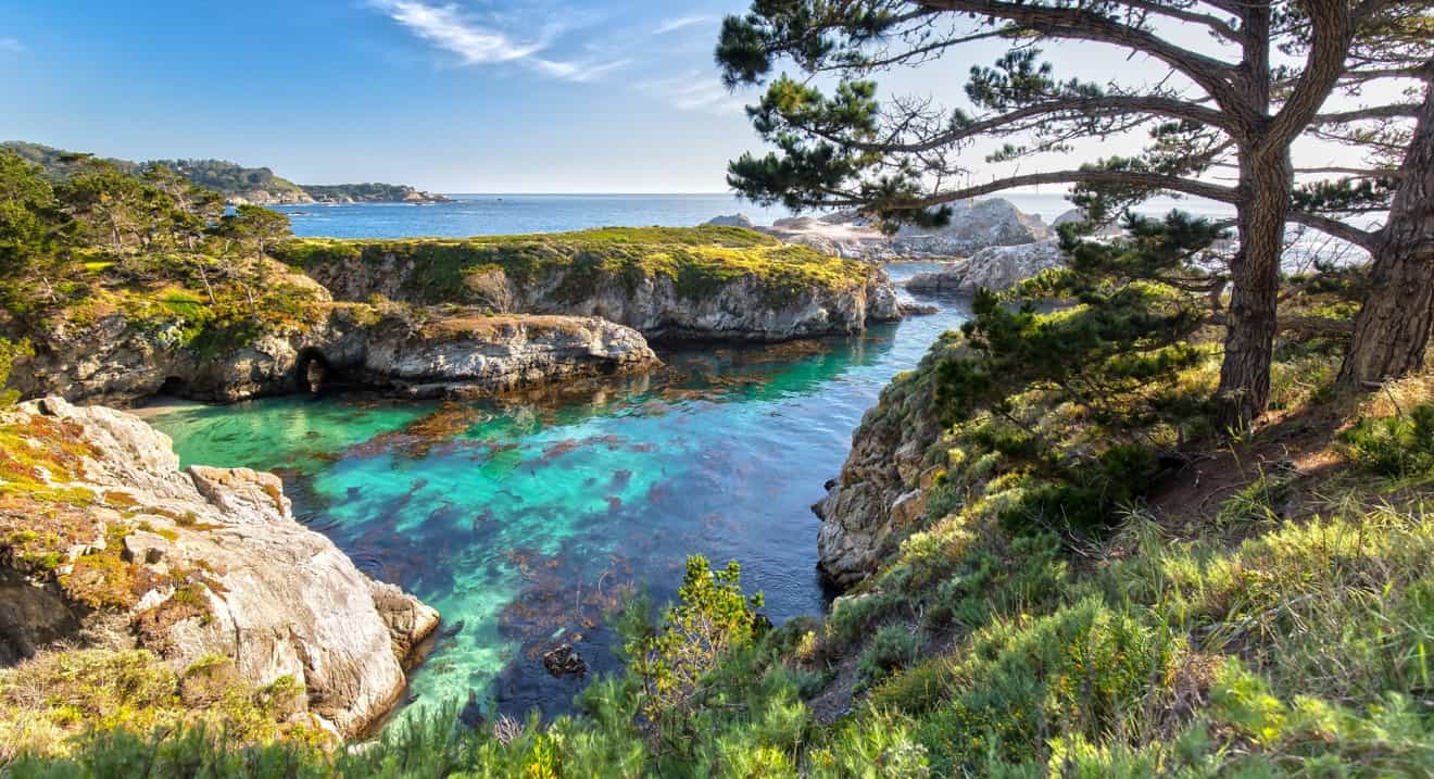 Point Lobos california