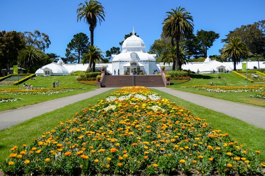 things to do at golden gate park