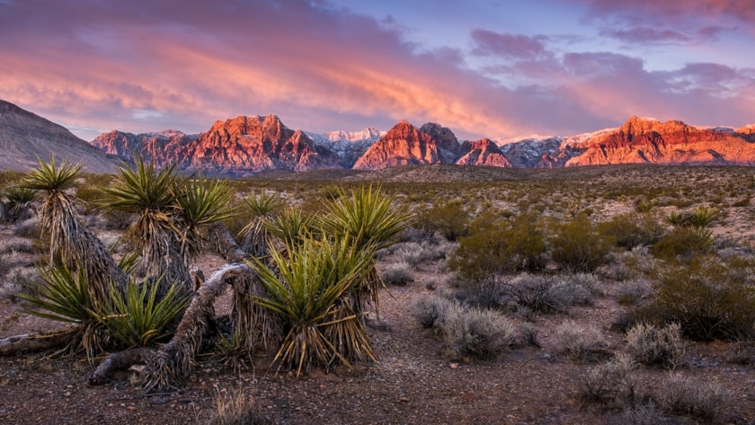 visit mojave desert