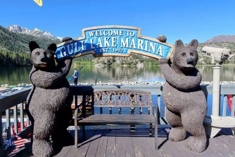 Gull Lake Marina