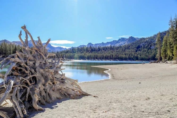 horseshoe lake