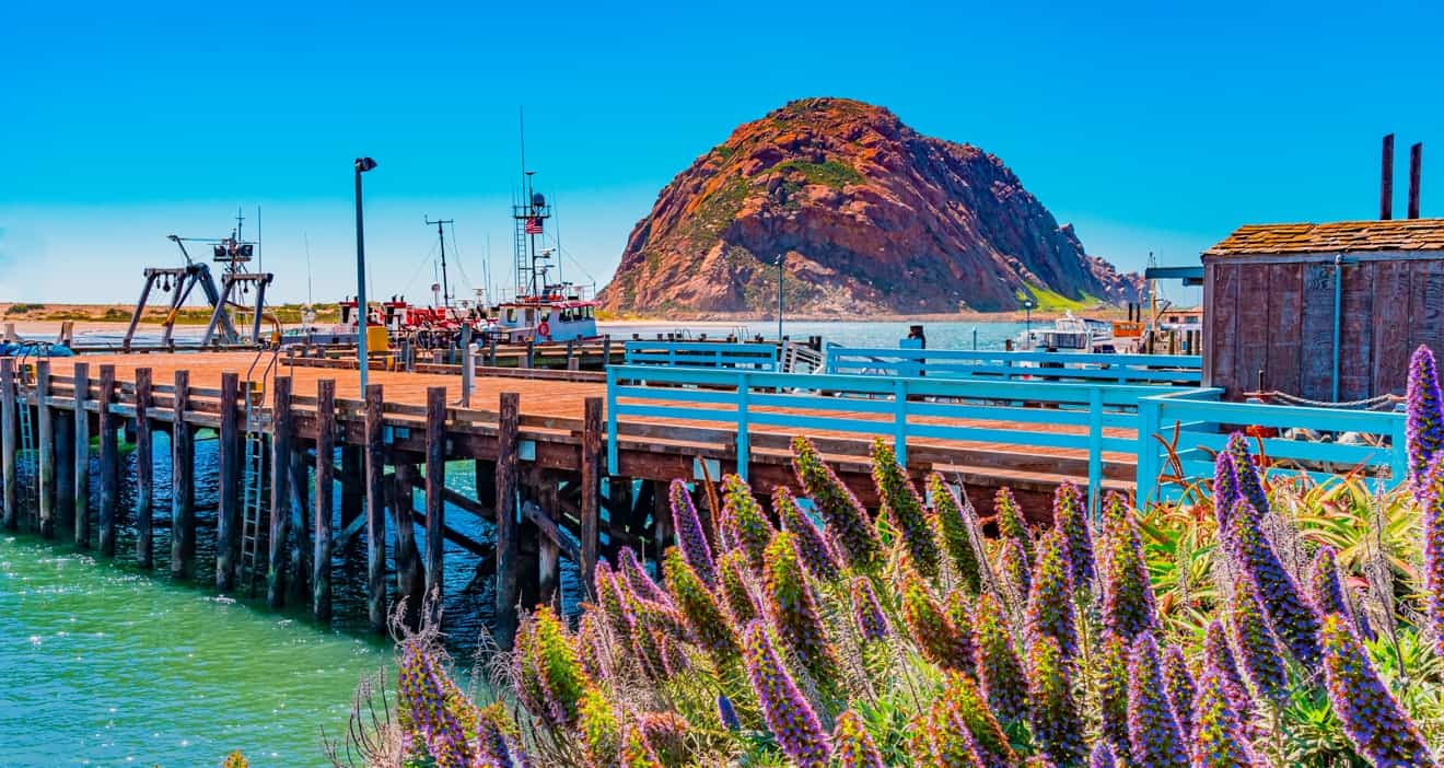 what to do in Morro Bay