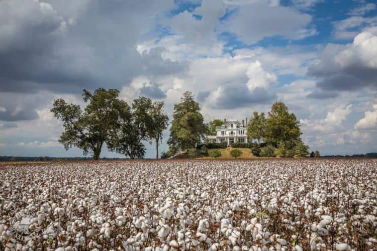 Best things to do in Mississippi
