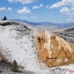 Mammoth Hot Springs-2