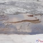 Mammoth Hot Springs-3