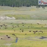 yellowstone national park itinerary 3 days