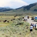 best yellowstone itinerary 4 days