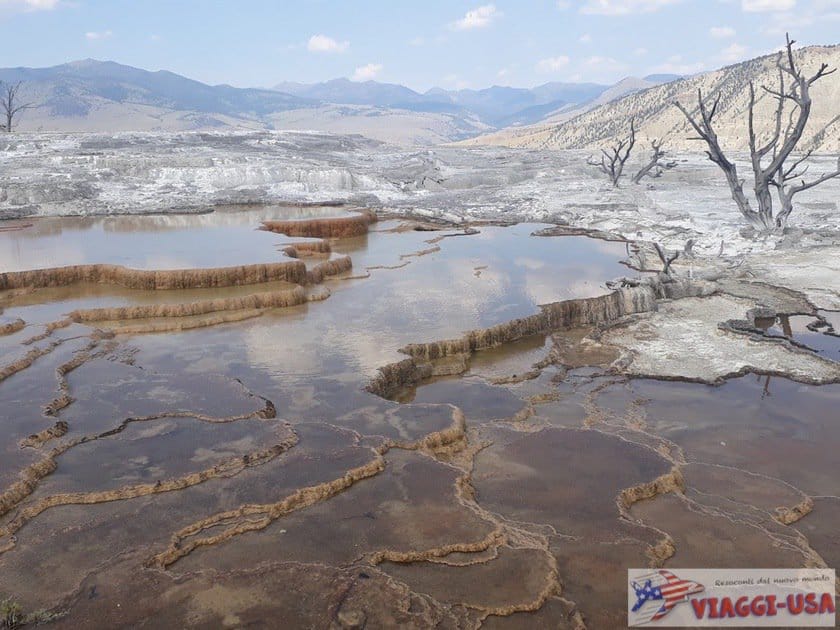 mammoth hot springs trail 