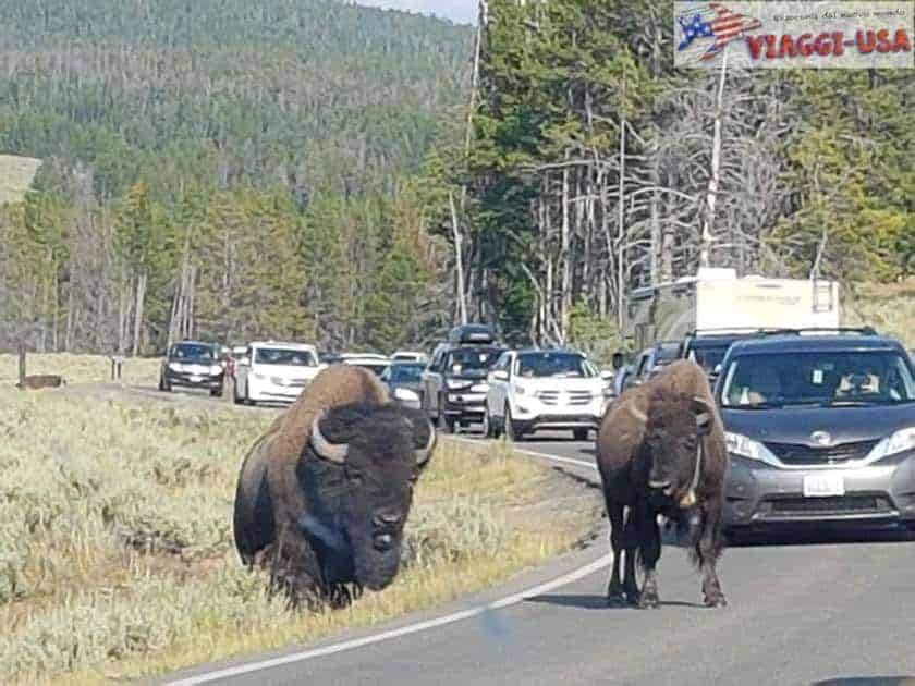 How Many Days in Yellowstone