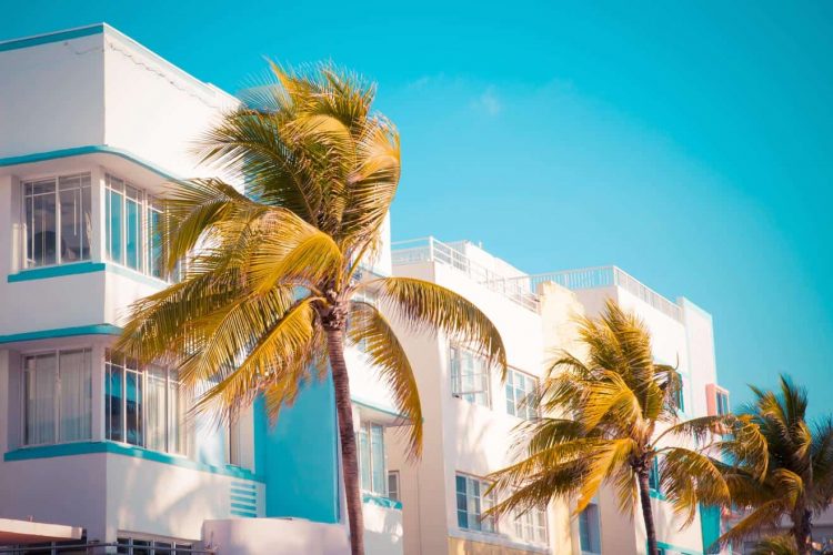 things to do in miami beach