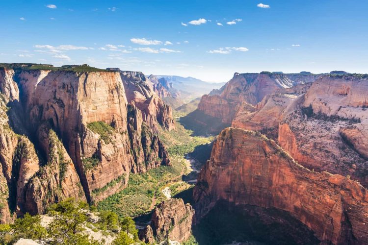 observation point zion trail