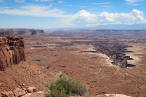 Buck Canyon Overlook