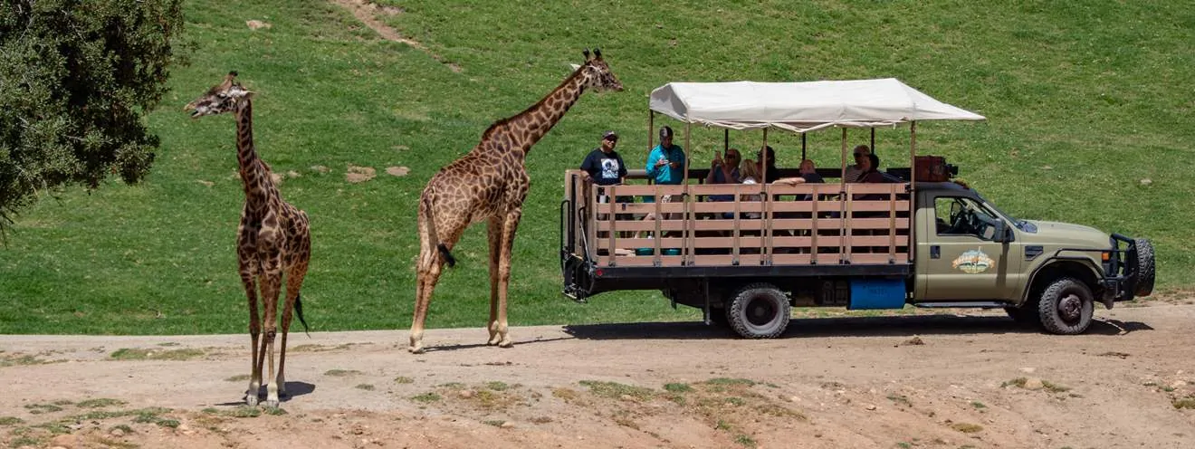 san diego wildlife safari hours