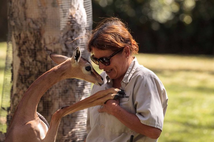 San Diego Zoo safari park tickets
