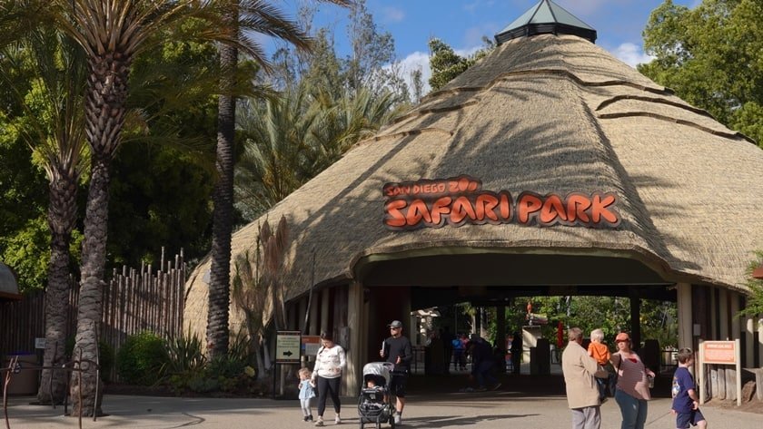 How to get to the Zoo Safari Park San Diego