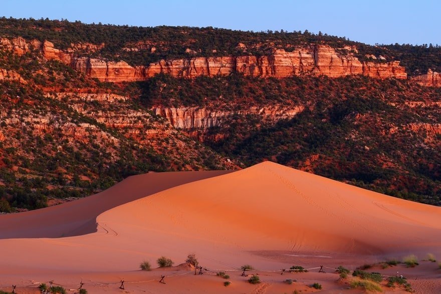 Coral pink sand dunes state park