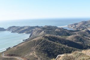 Hawk Hill