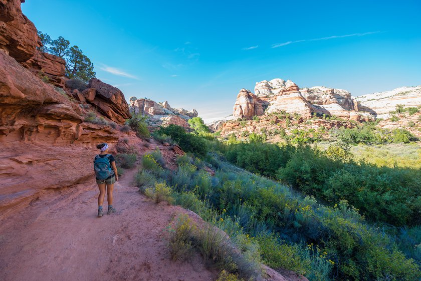 Lower Calf Creek Falls trail