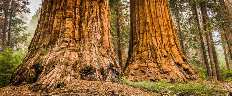 northern-california-road-trip