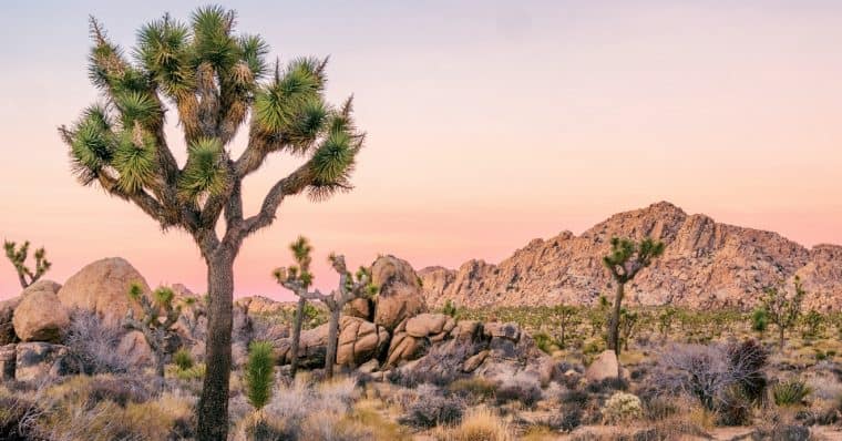 southern-california-road-trip