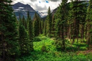 Going-to-the-Sun Road Best Stops