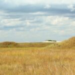 texas best beaches