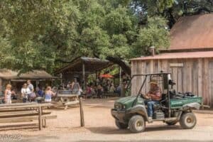 Texas Hill Country Tour