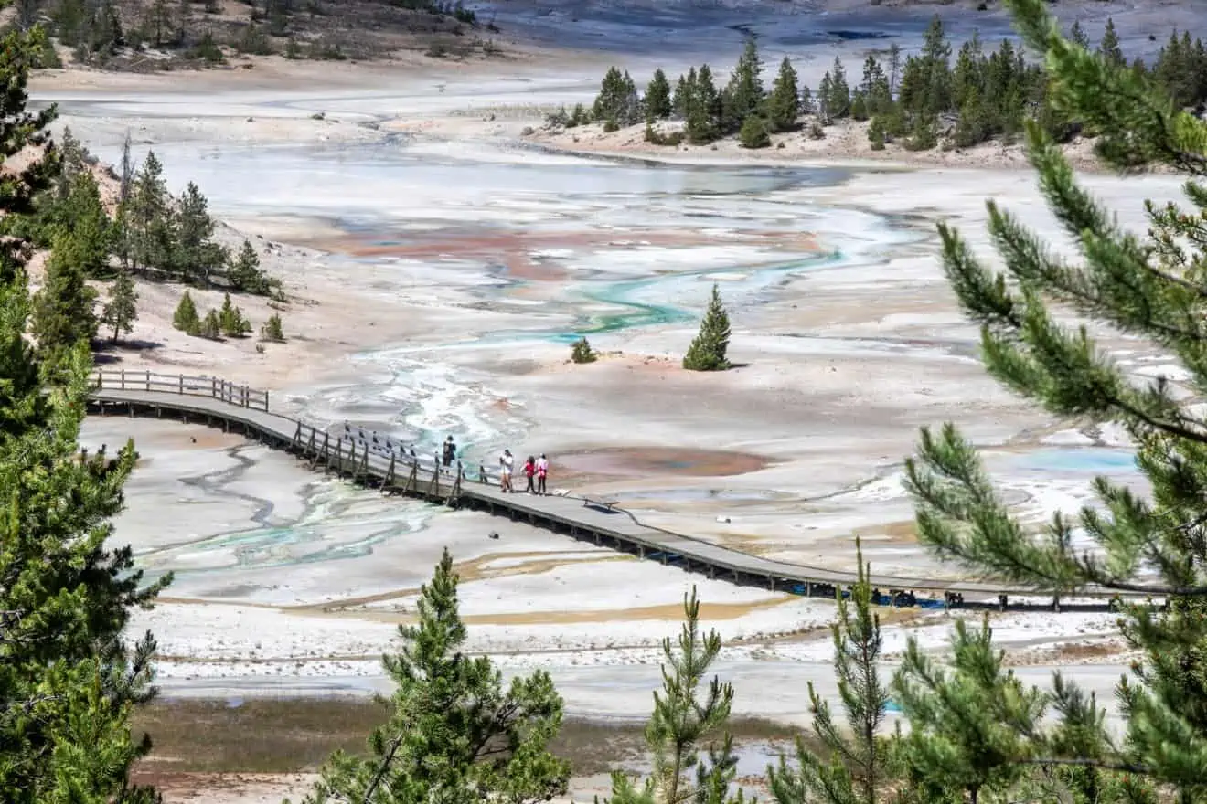 what-to-see-at-norris-geyser-basin