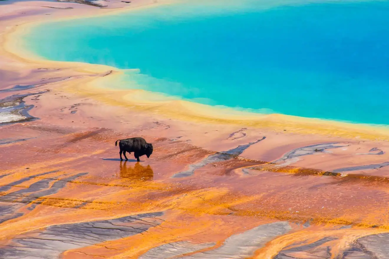 Yellowstone Geysers road trip