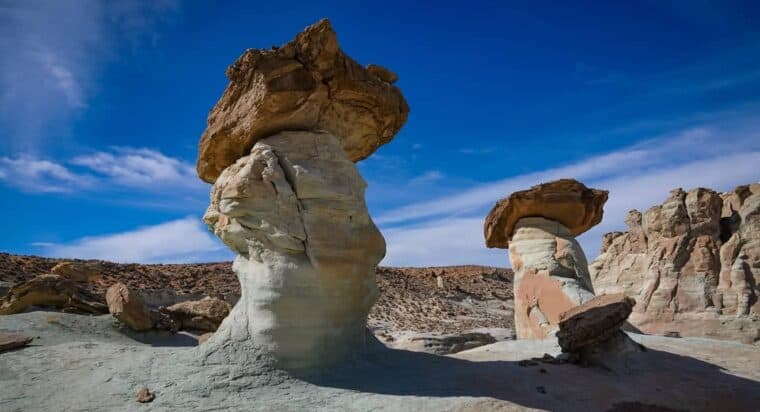 Stud horse point page Arizona