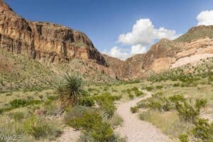 big bend national park things to do