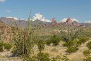 big bend national park things to do