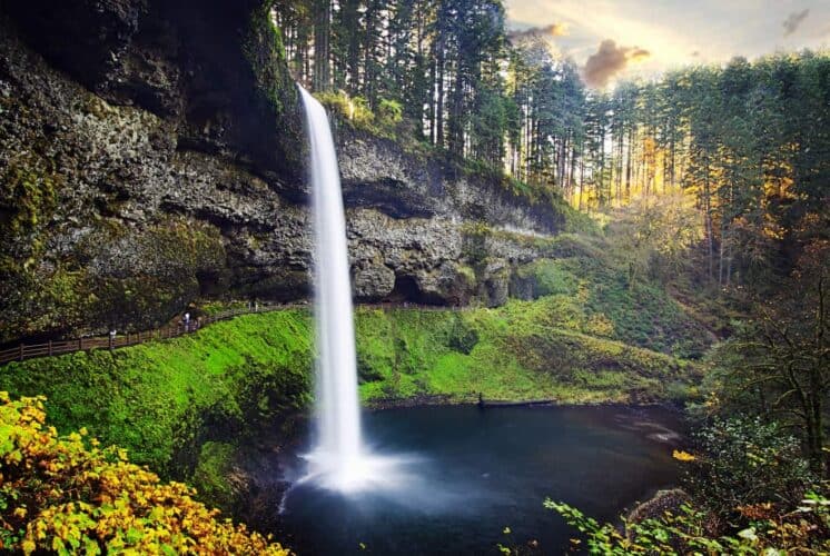 Things to do in Silver Falls State Park
