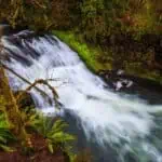 Silver Falls State Park hikes