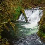 Silver Falls State Park hikes