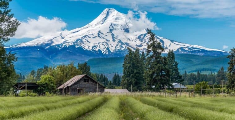 things to do in the mt hood