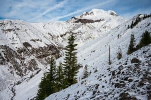 mount hood