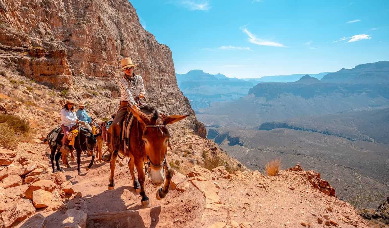 Grand Canyon Mule Rides: Price, Reservations & Other Information