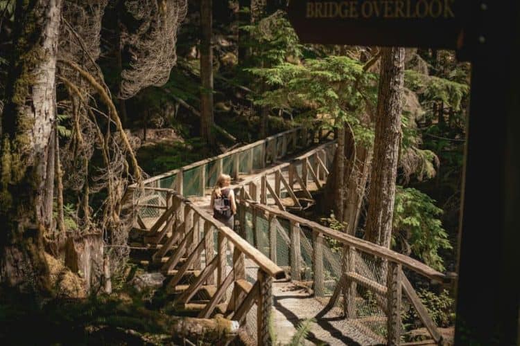 North-Cascades-Ladder-Creek-Falls-Trail