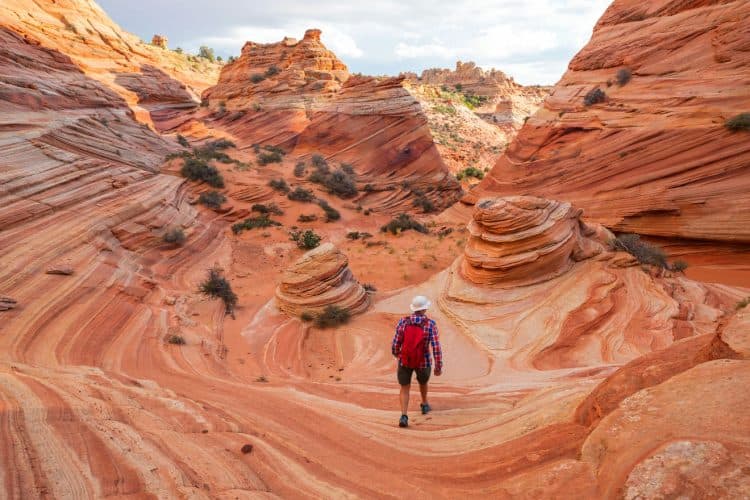 usa parks
