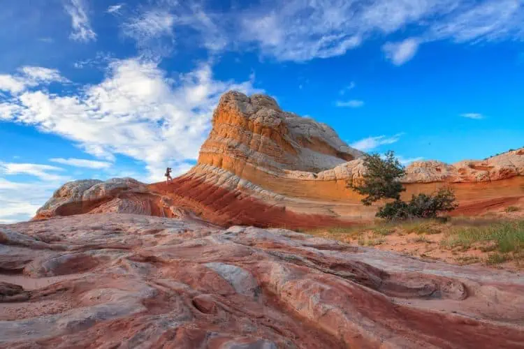white pocket Arizona