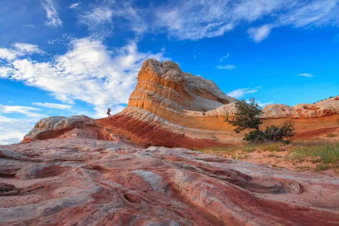 white pocket Arizona